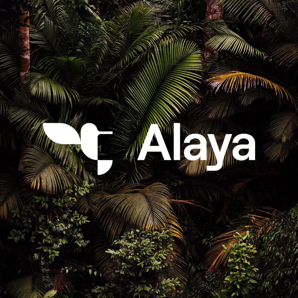 Rebranding, Identidad y Diseño web para Alaya